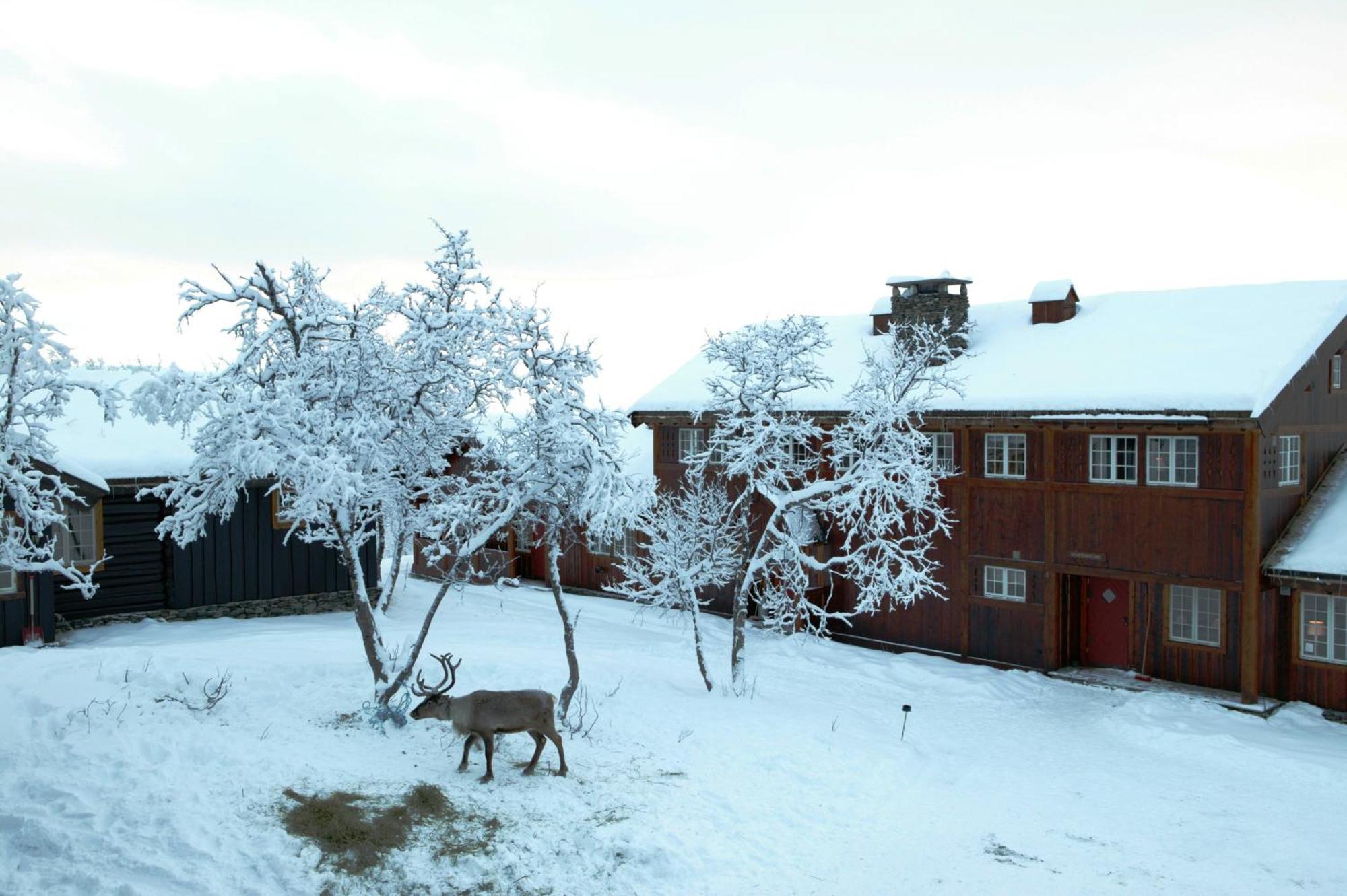 Harahorn Fjellgård Hotell Grøndalen Eksteriør bilde