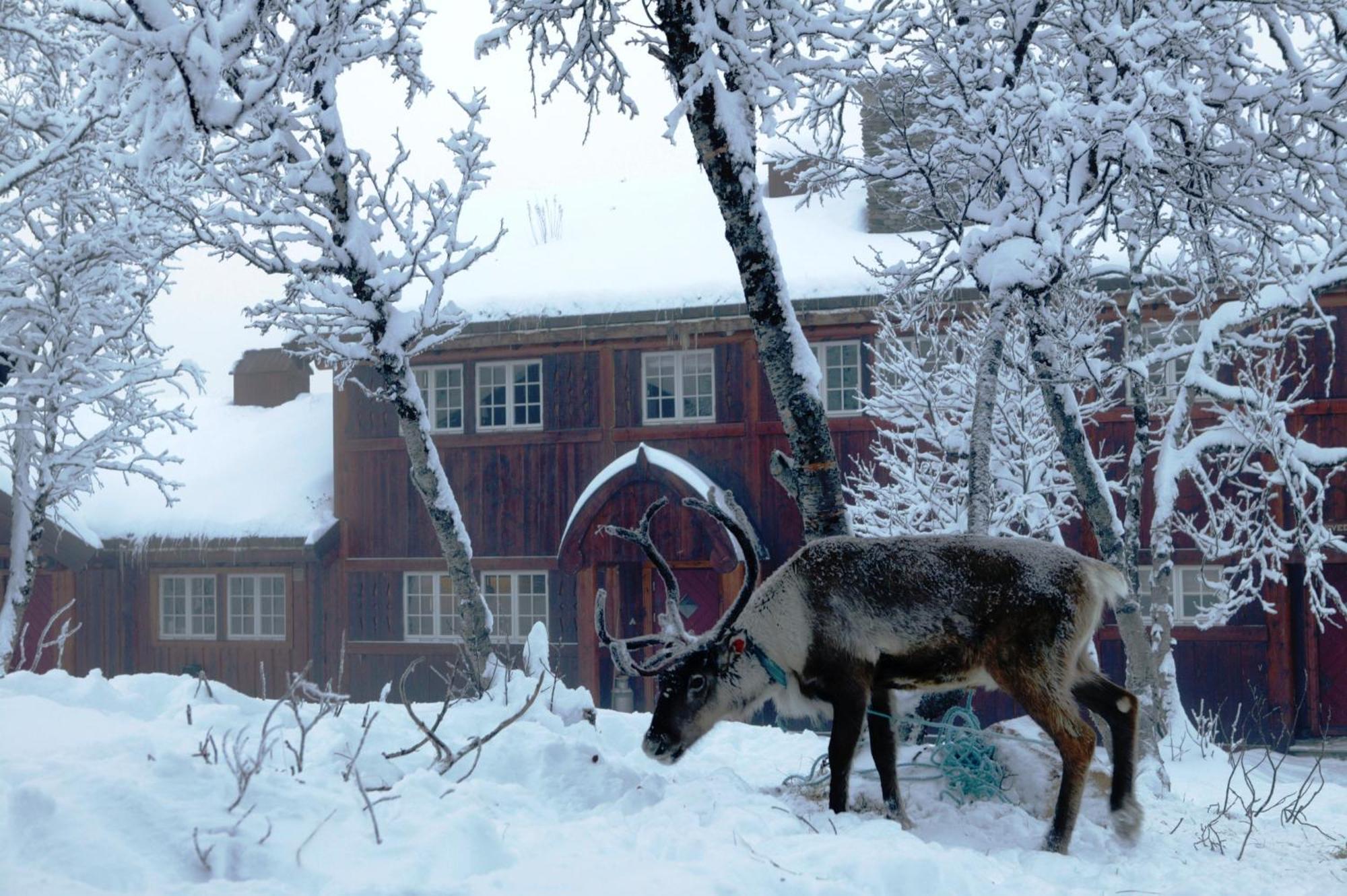 Harahorn Fjellgård Hotell Grøndalen Eksteriør bilde